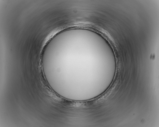 X0000091211362200708091106