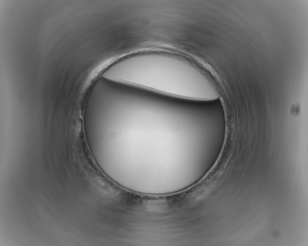 X0000091211363200708091106