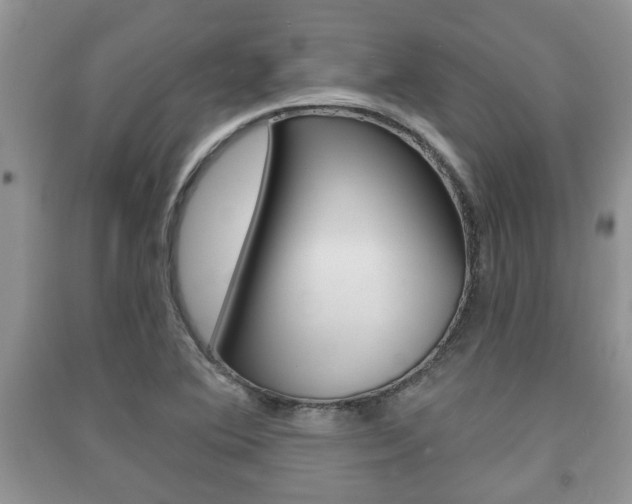 X0000091211364200708091106
