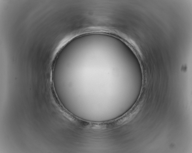 X0000091211365200708091106