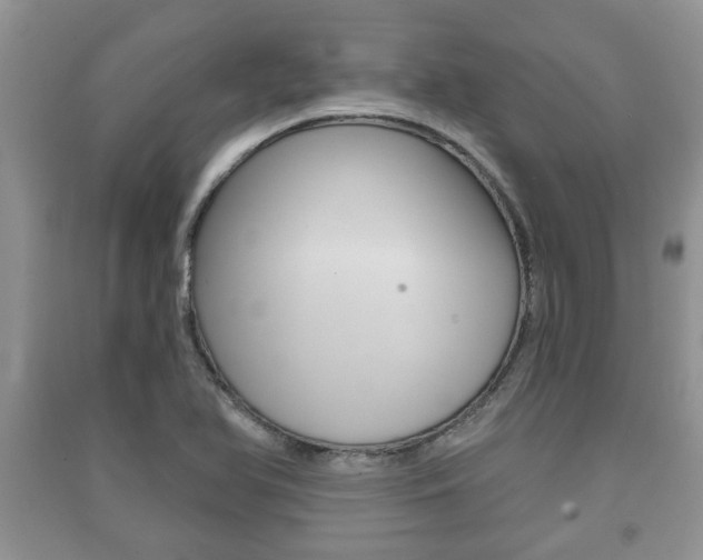 X0000091211366200708091106
