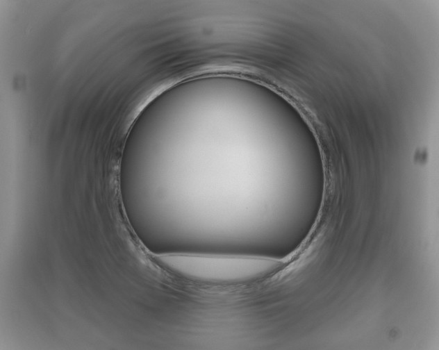 X0000091211369200708091106