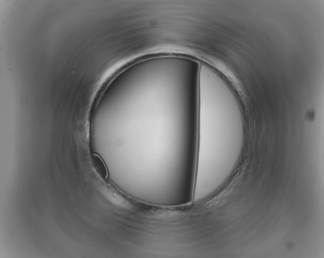 X0000091211372200708091106
