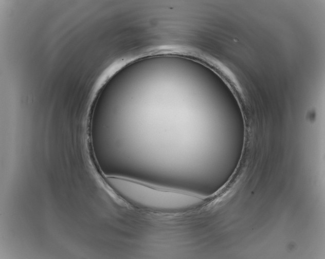 X0000091211373200708091106