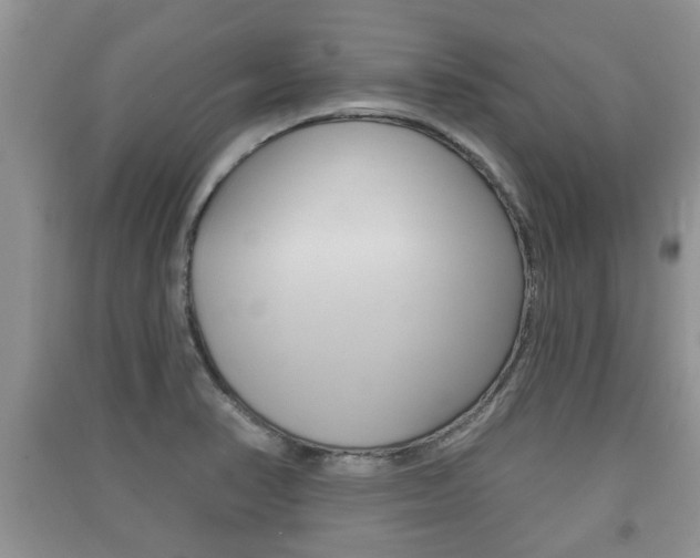 X0000091211374200708091106
