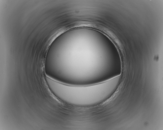 X0000091211377200708091106