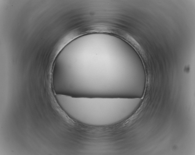 X0000091211378200708091106