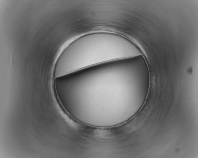 X0000091211379200708091106