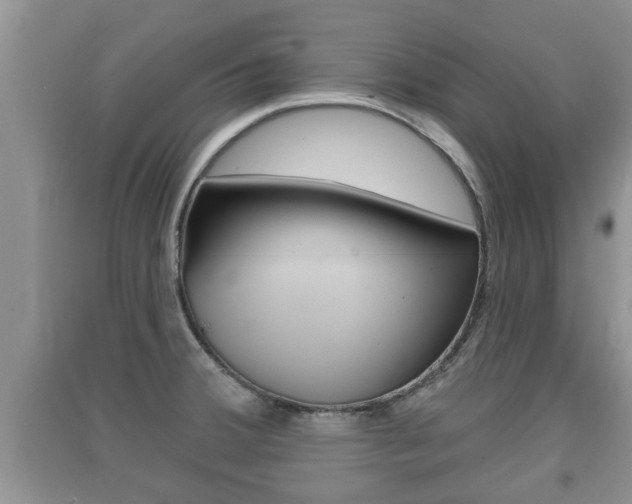 X0000091211380200708091106