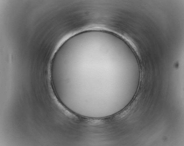 X0000091211382200708091106