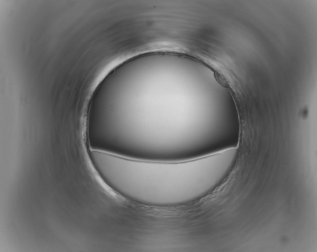 X0000091211383200708091106