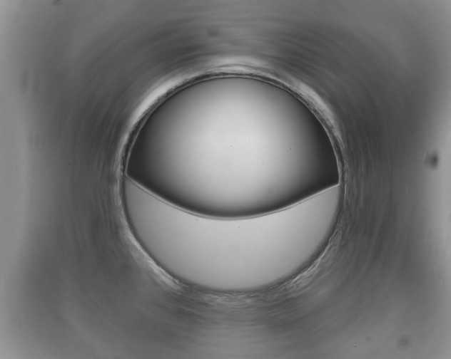 X0000091211384200708091106