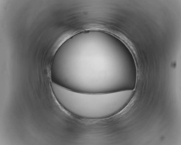 X0000091211385200708091106