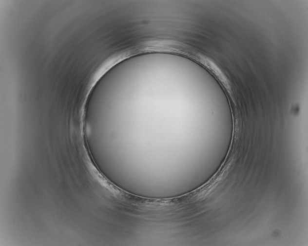 X0000091211386200708091106