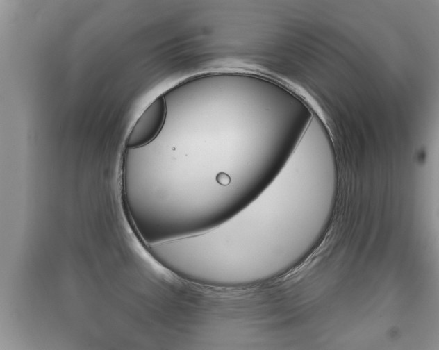 X0000091211387200708091106