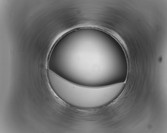 X0000091211388200708091106