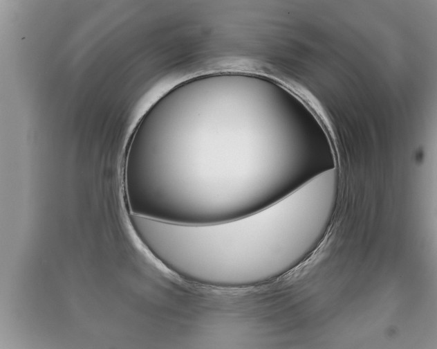 X0000091211389200708091106