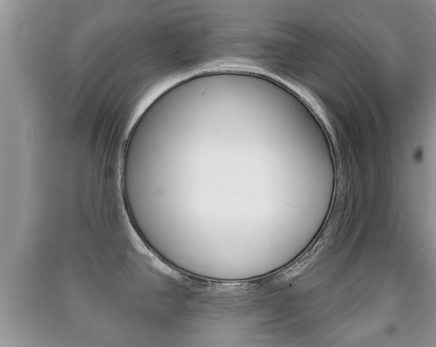 X0000091211390200708091106