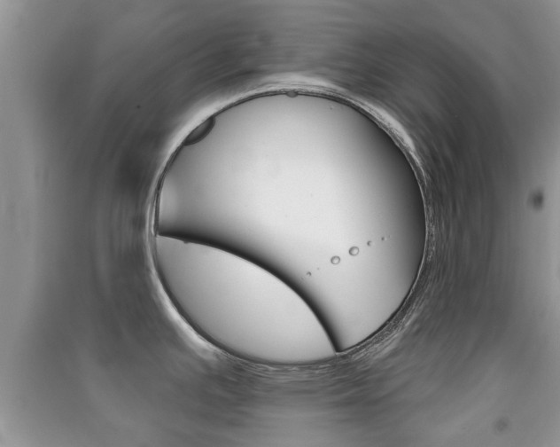 X0000091211391200708091106