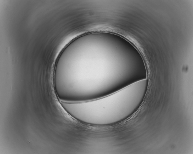 X0000091211392200708091106
