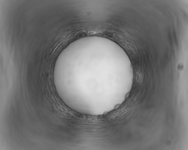 X0000091211393200708091105