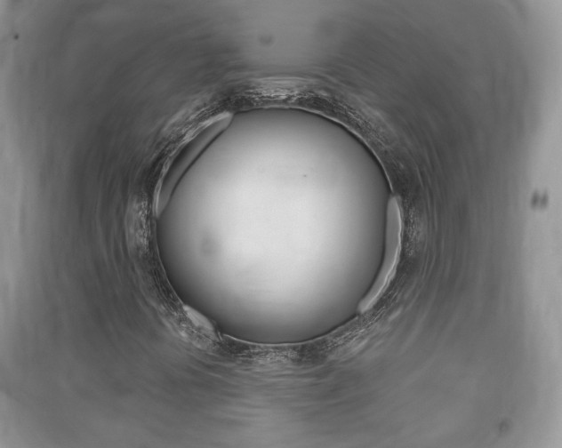 X0000091211394200708091105