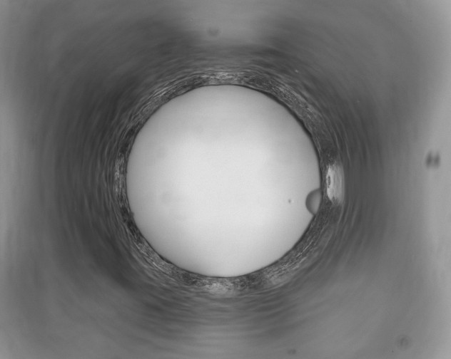 X0000091211395200708091105