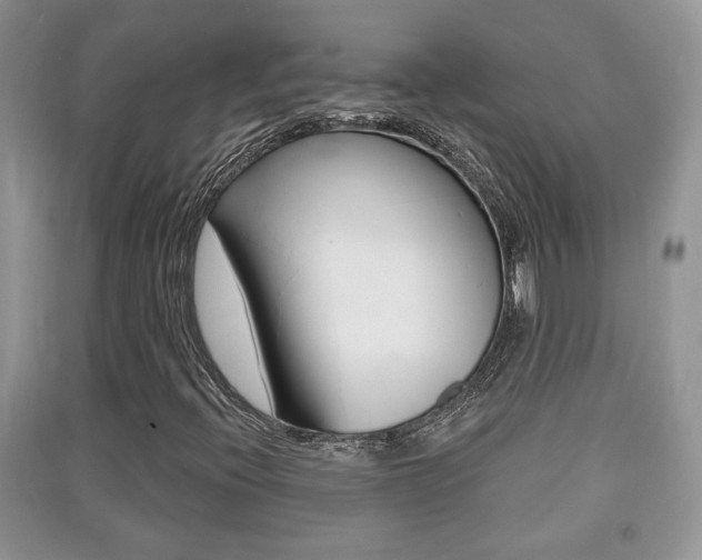 X0000091211396200708091105