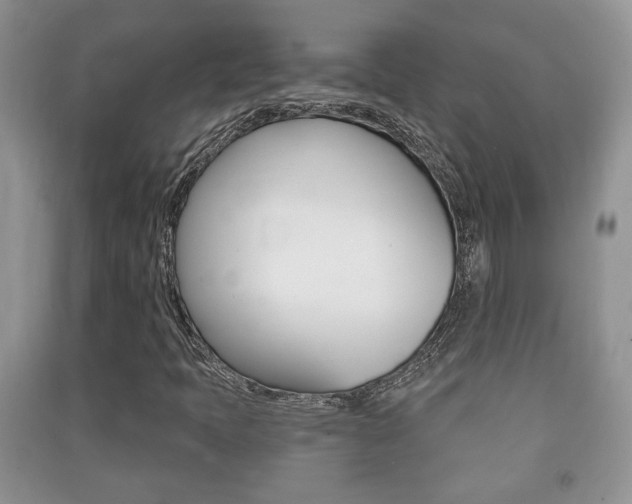 X0000091211397200708091105