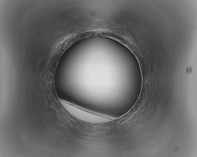 X0000091211398200708091105