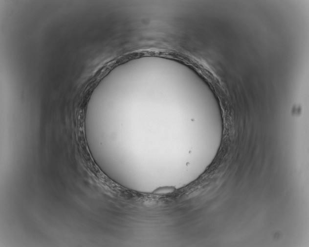 X0000091211399200708091105