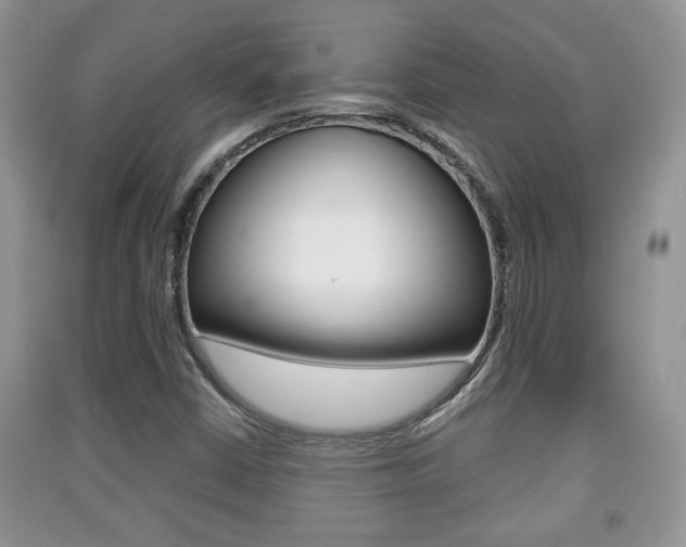 X0000091211402200708091105