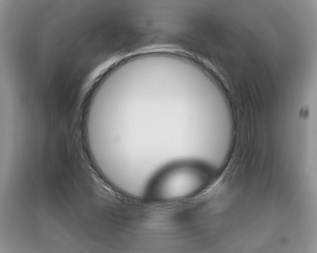 X0000091211406200708091105