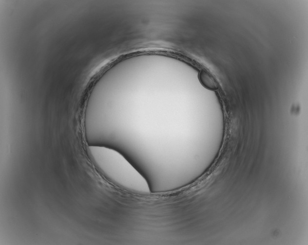 X0000091211407200708091105