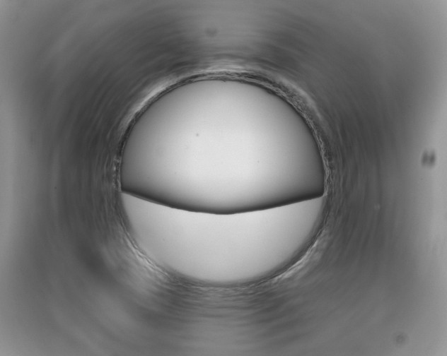 X0000091211409200708091105