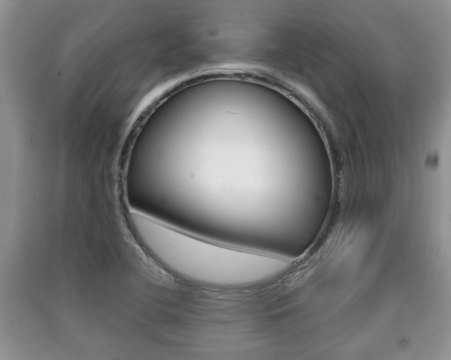 X0000091211412200708091105