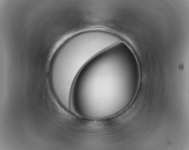 X0000091211414200708091106