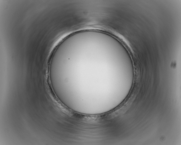 X0000091211415200708091106