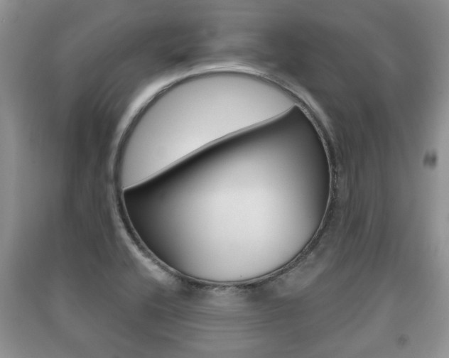 X0000091211416200708091106