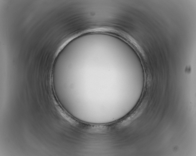 X0000091211417200708091106
