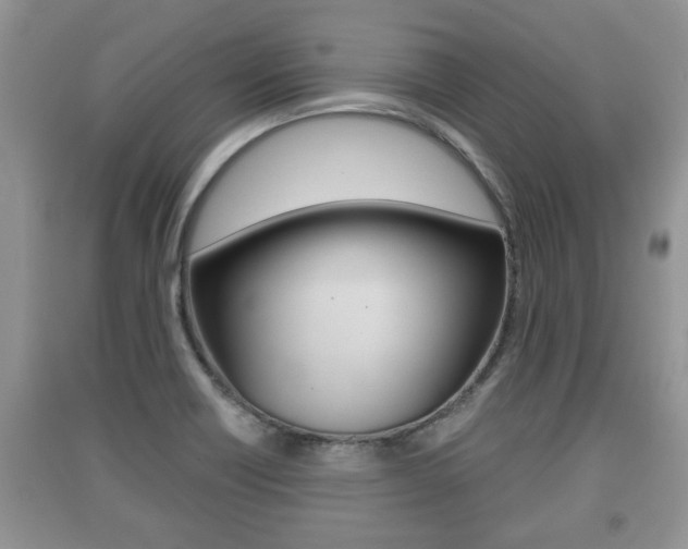 X0000091211418200708091106