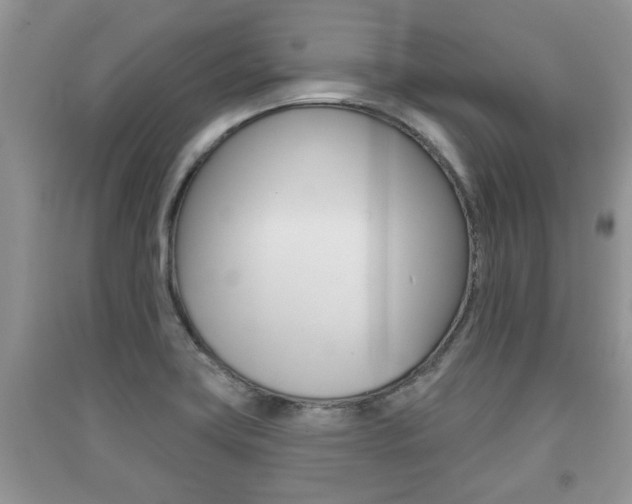 X0000091211419200708091106