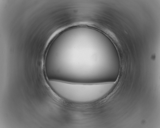 X0000091211420200708091106