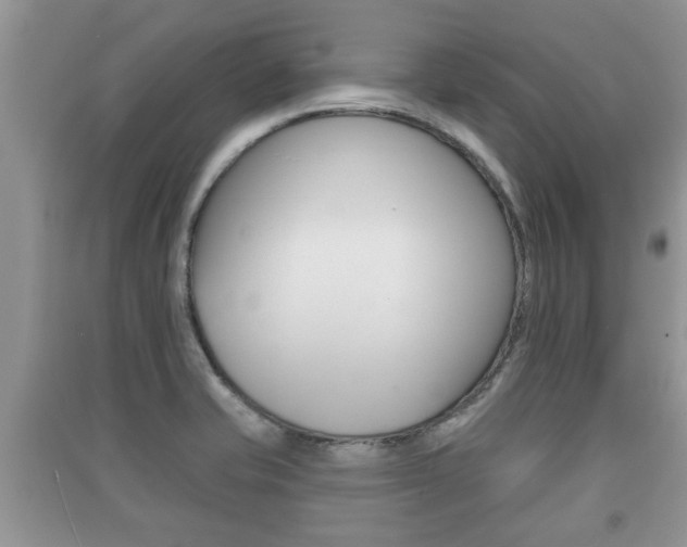 X0000091211421200708091106