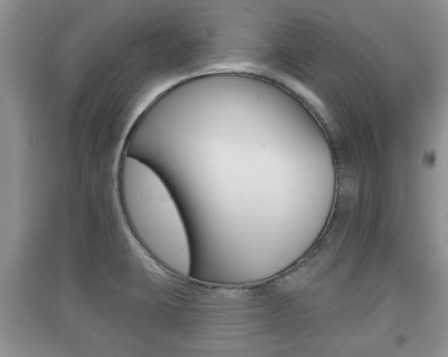 X0000091211423200708091106
