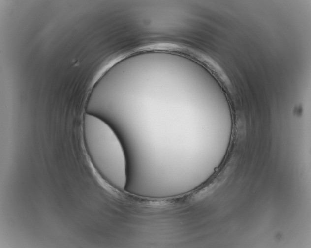 X0000091211425200708091106