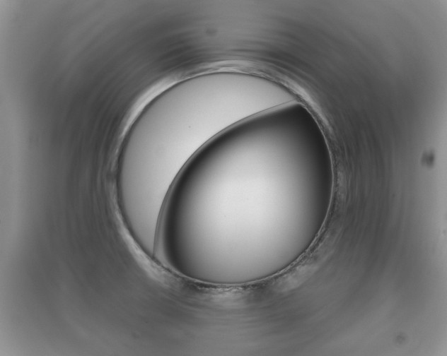 X0000091211426200708091106