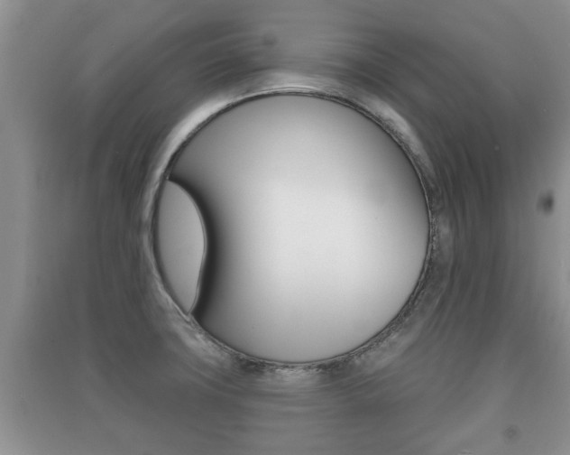 X0000091211427200708091106