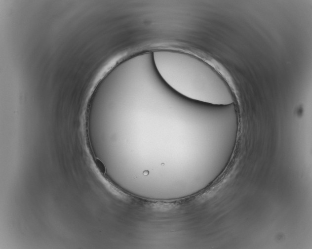 X0000091211429200708091106
