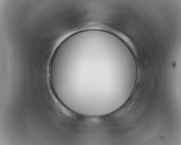 X0000091211431200708091106